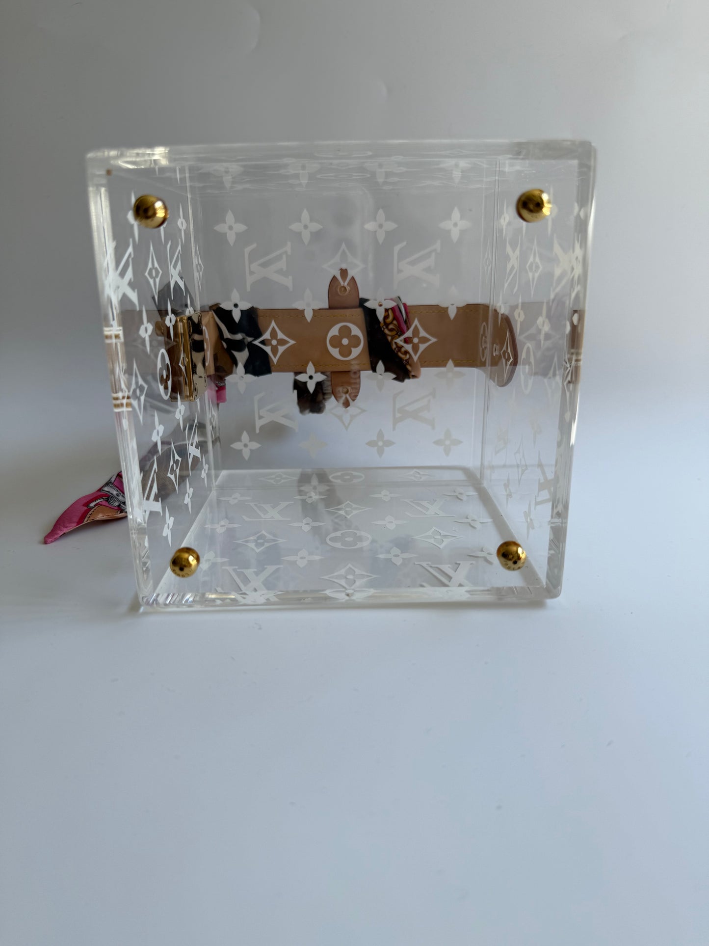 Louis Vuitton Cannes Plexiglass Monogram Bag
