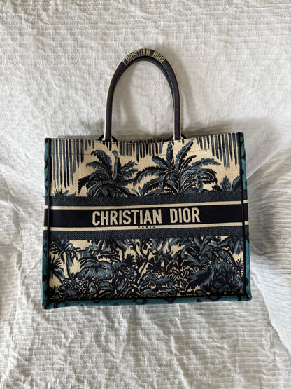 Dior medium book tote