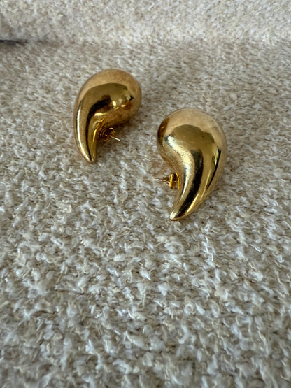 Bottega earrings