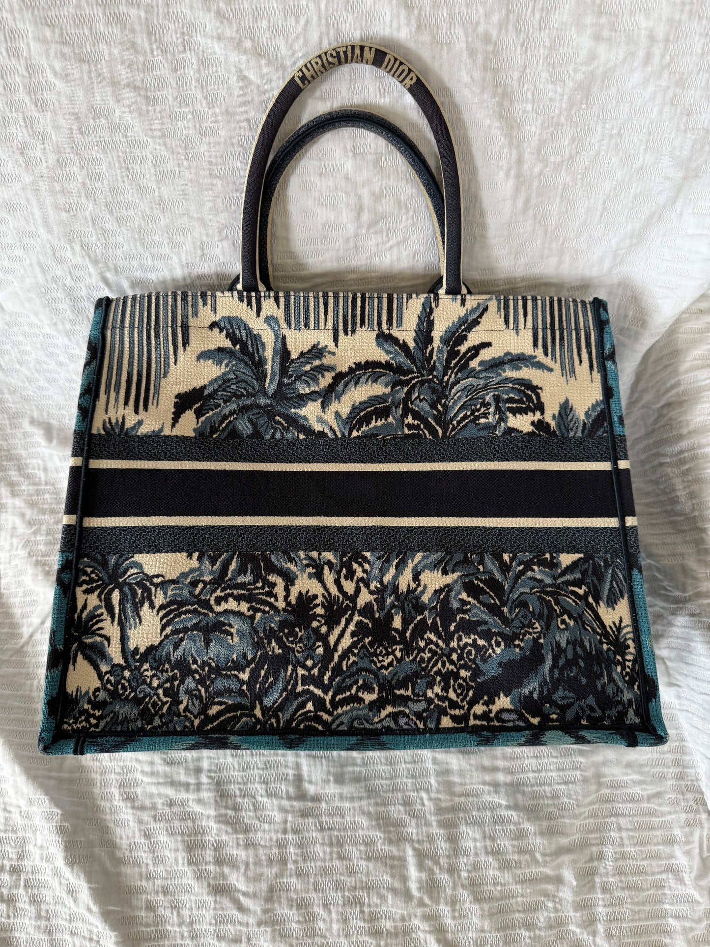 Dior medium book tote