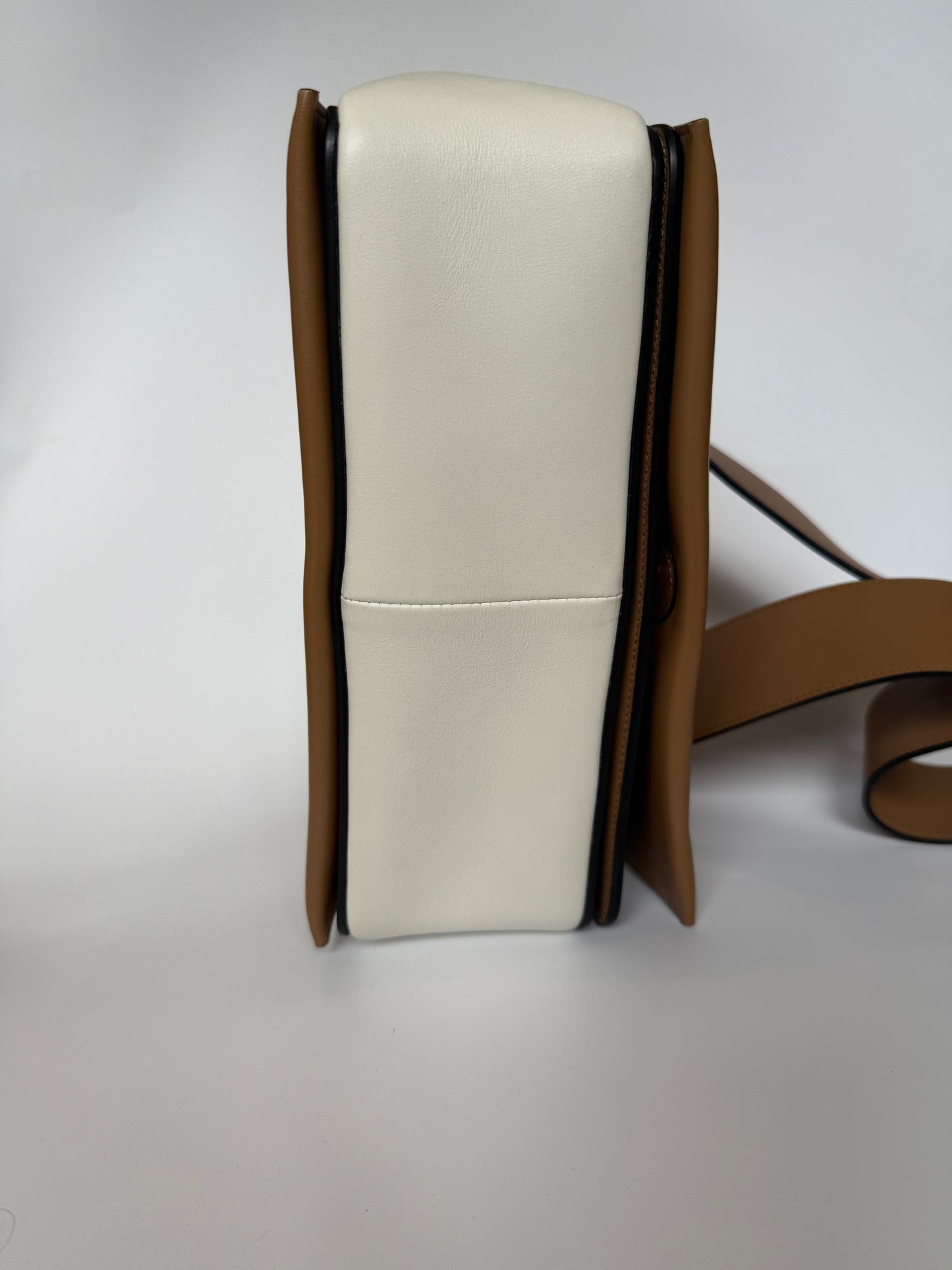 Celine Frame Bag