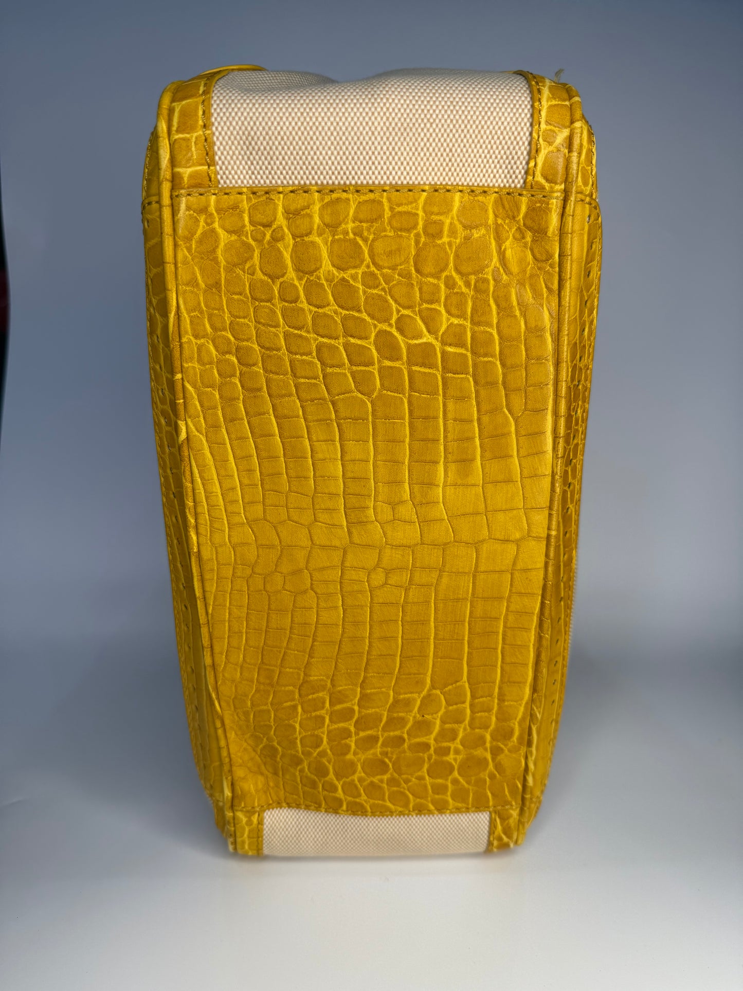 Celine Boogie Bag