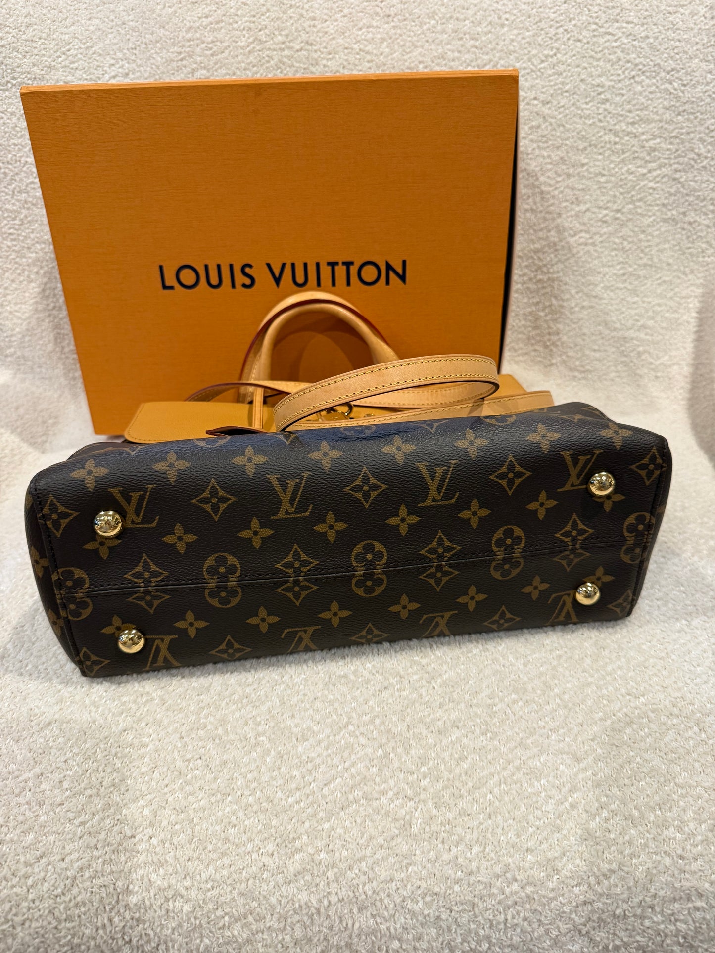 Louis Vuitton Monogram Canvas Venus Bag