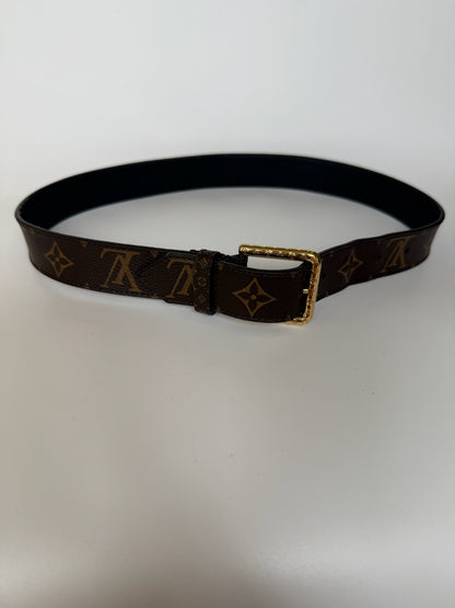 Louis Vuitton multi pocket belt bag