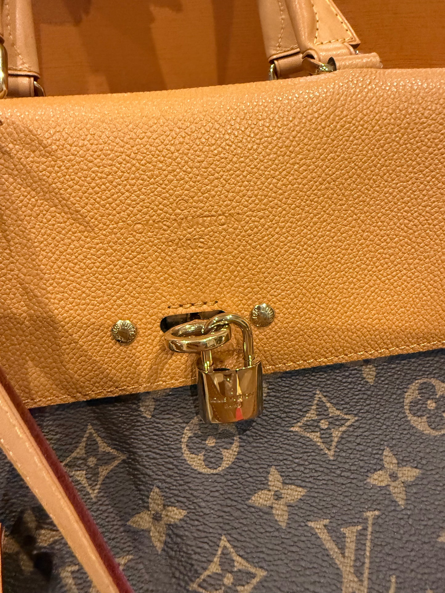 Louis Vuitton Monogram Canvas Venus Bag