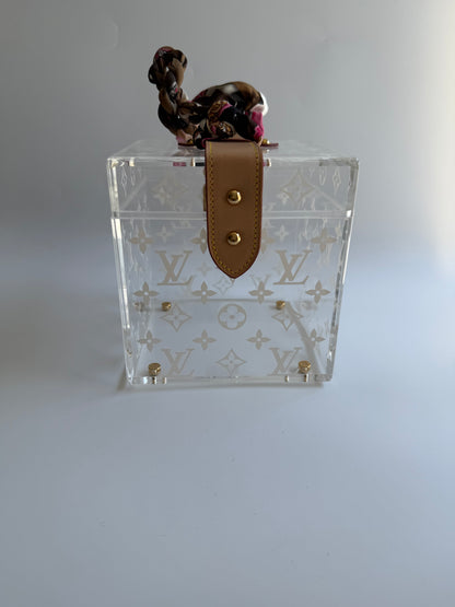 Louis Vuitton Cannes Plexiglass Monogram Bag