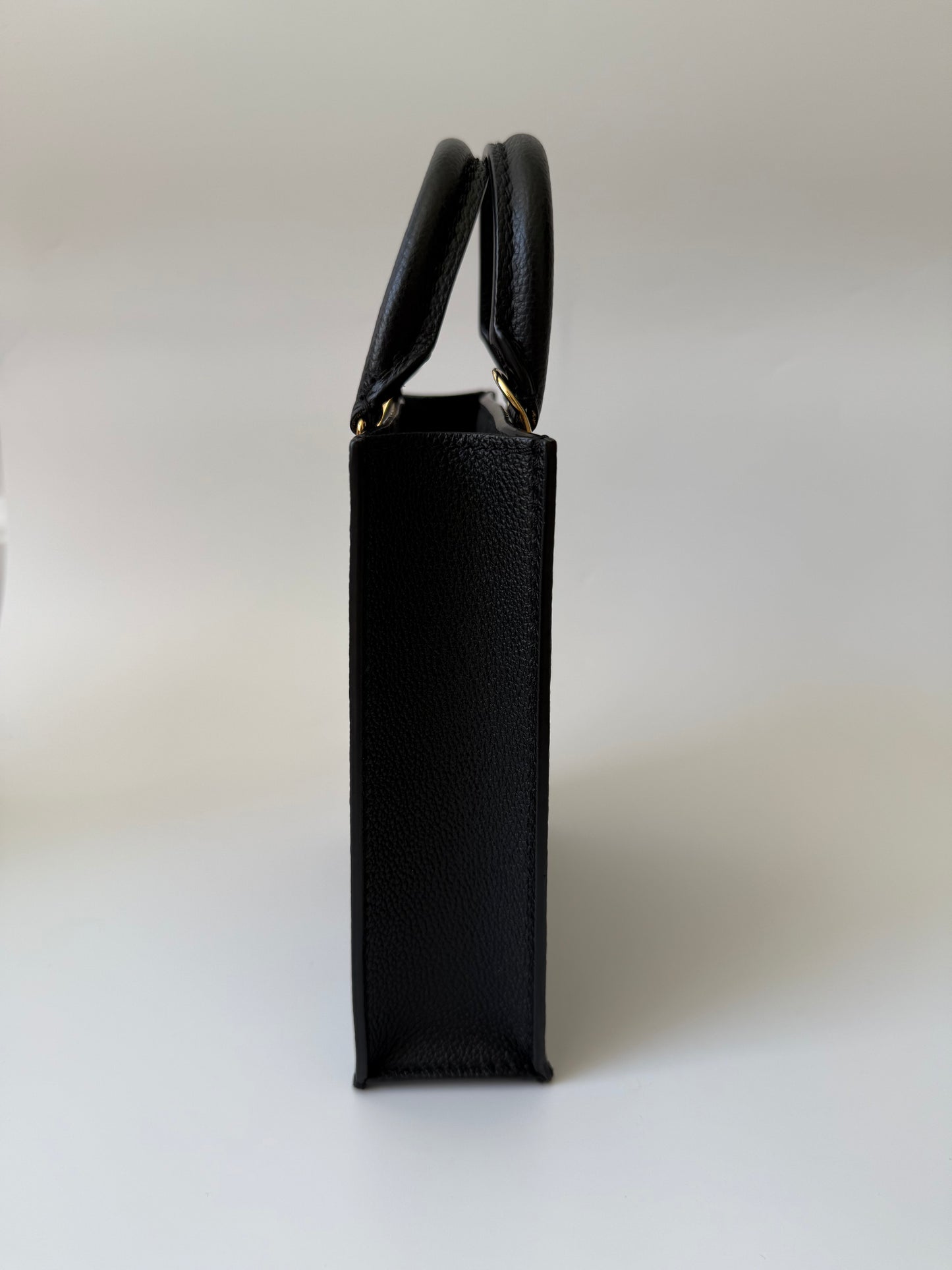Louis Vutton Petition Sac Plat in Bicolor black & beige
