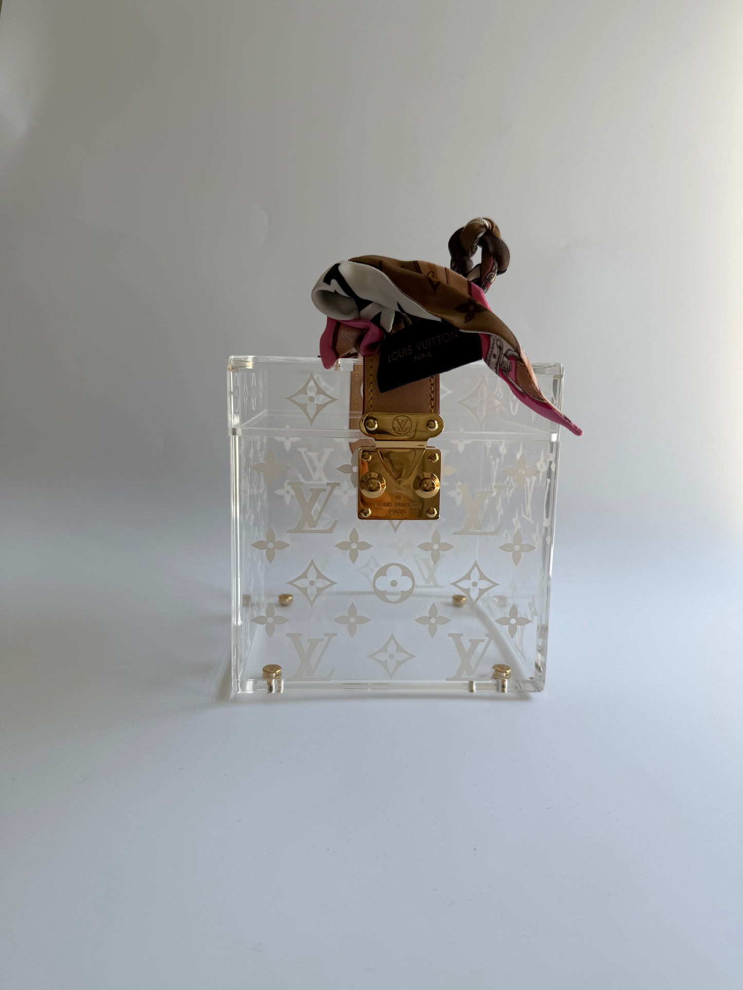 Louis Vuitton Cannes Plexiglass Monogram Bag