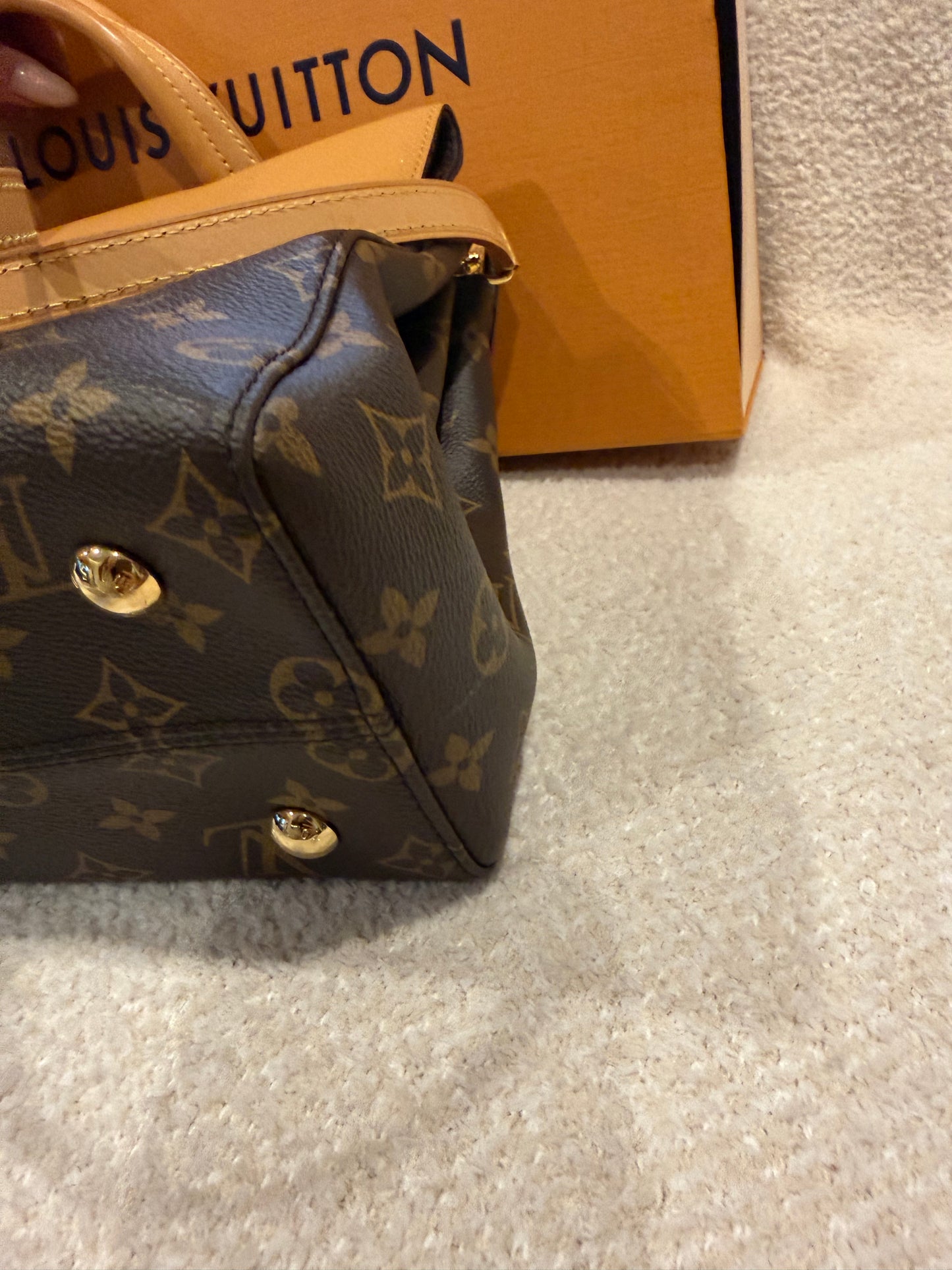 Louis Vuitton Monogram Canvas Venus Bag