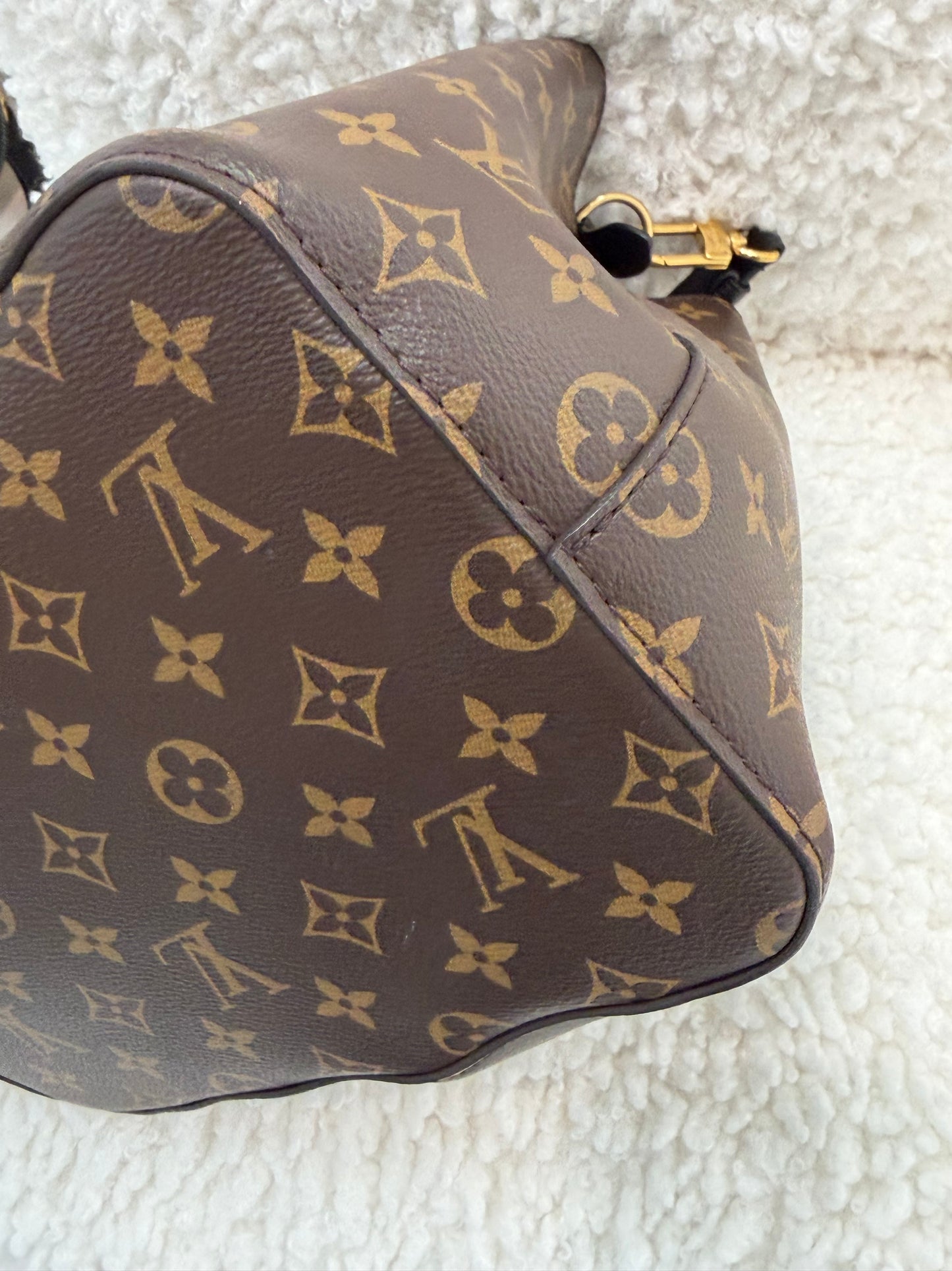 Louis Vuitton Neo Noe Bag