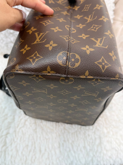 Louis Vuitton Neo Noe Bag