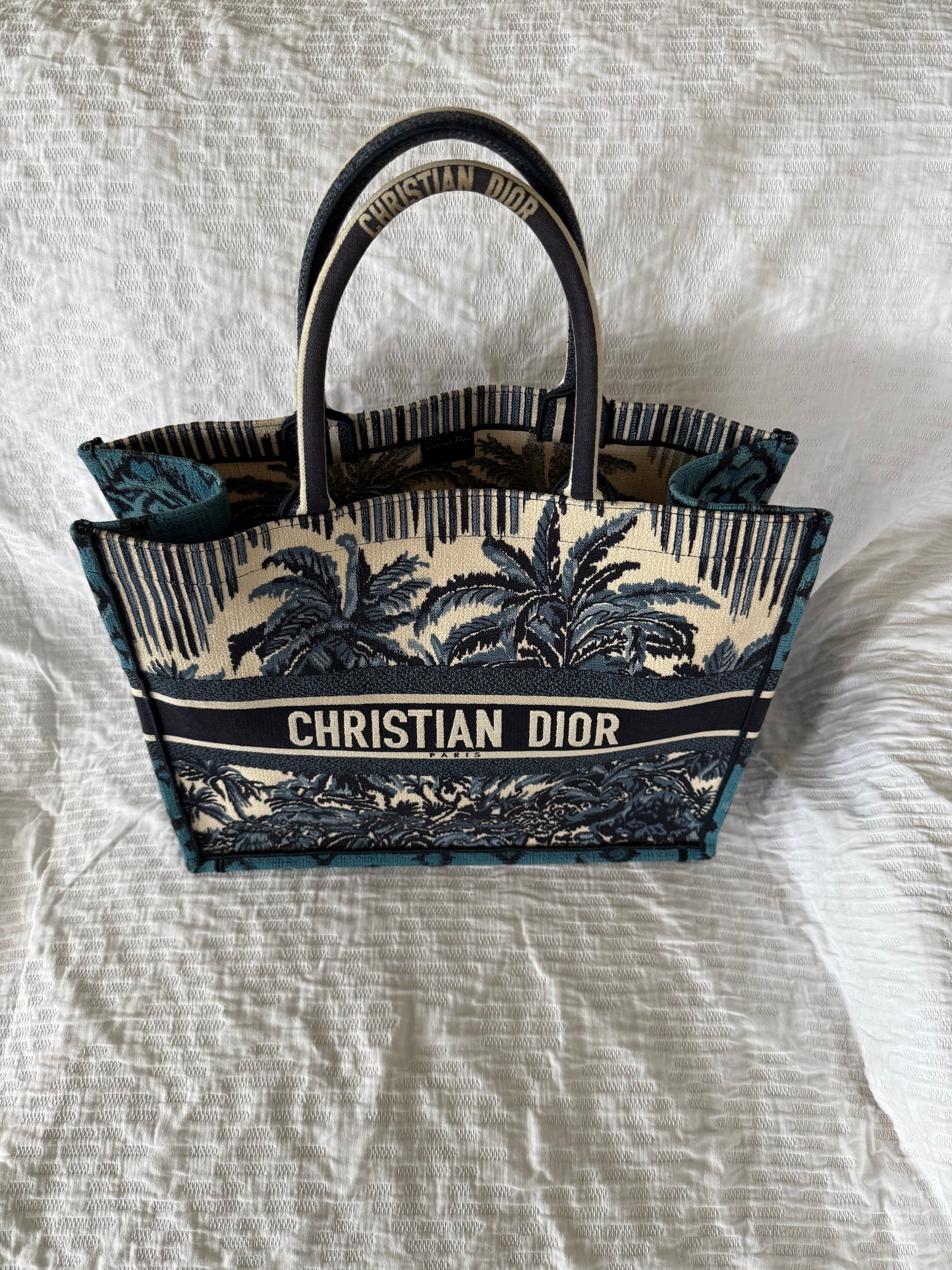 Dior medium book tote