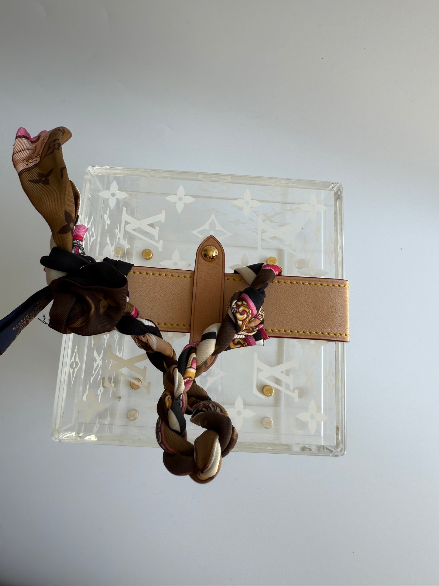 Louis Vuitton Cannes Plexiglass Monogram Bag