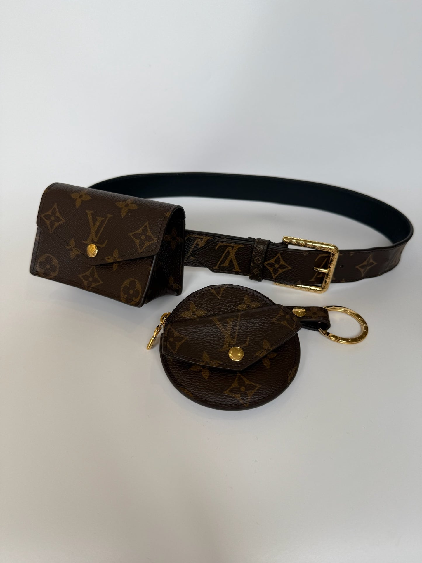 Louis Vuitton multi pocket belt bag