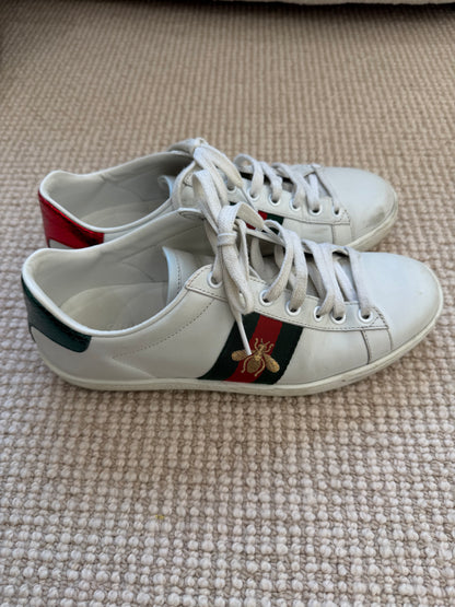 Gucci Sneakers, Size 37