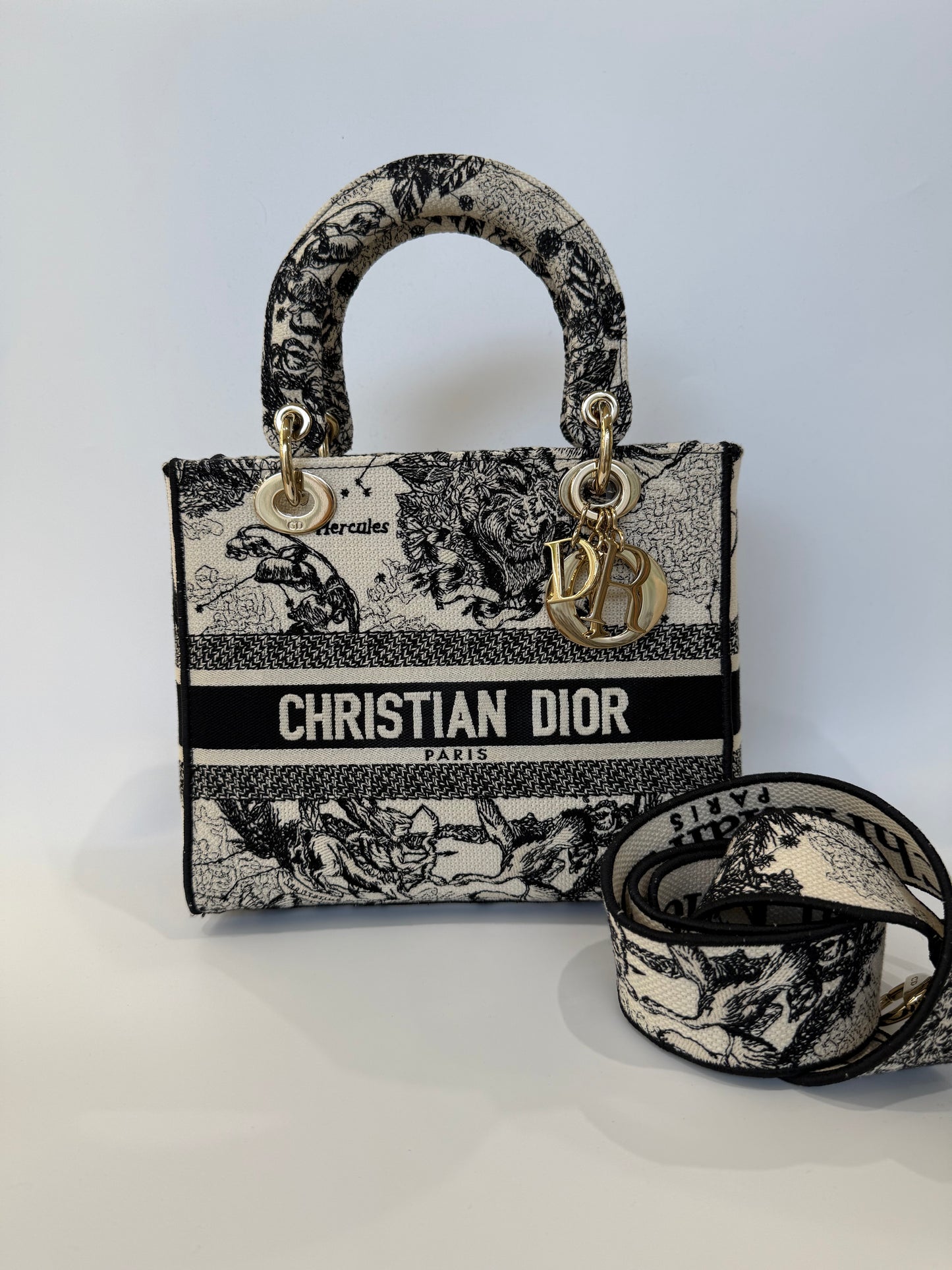 Lady Dior bag