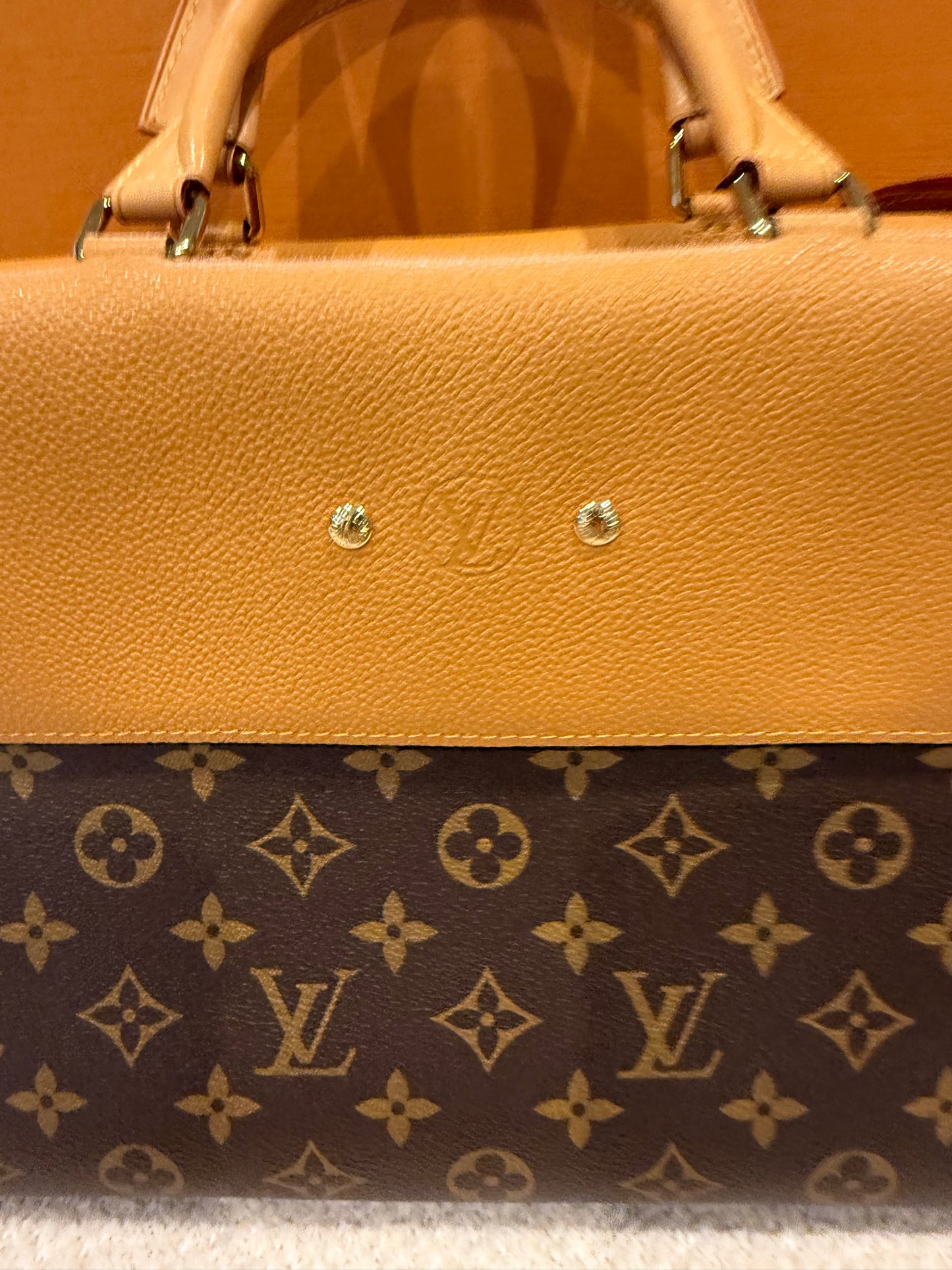 Louis Vuitton Monogram Canvas Venus Bag