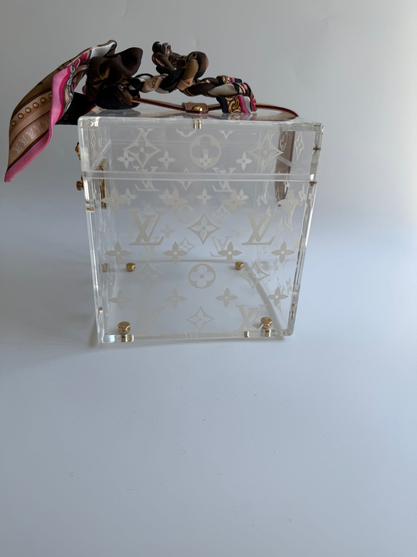 Louis Vuitton Cannes Plexiglass Monogram Bag