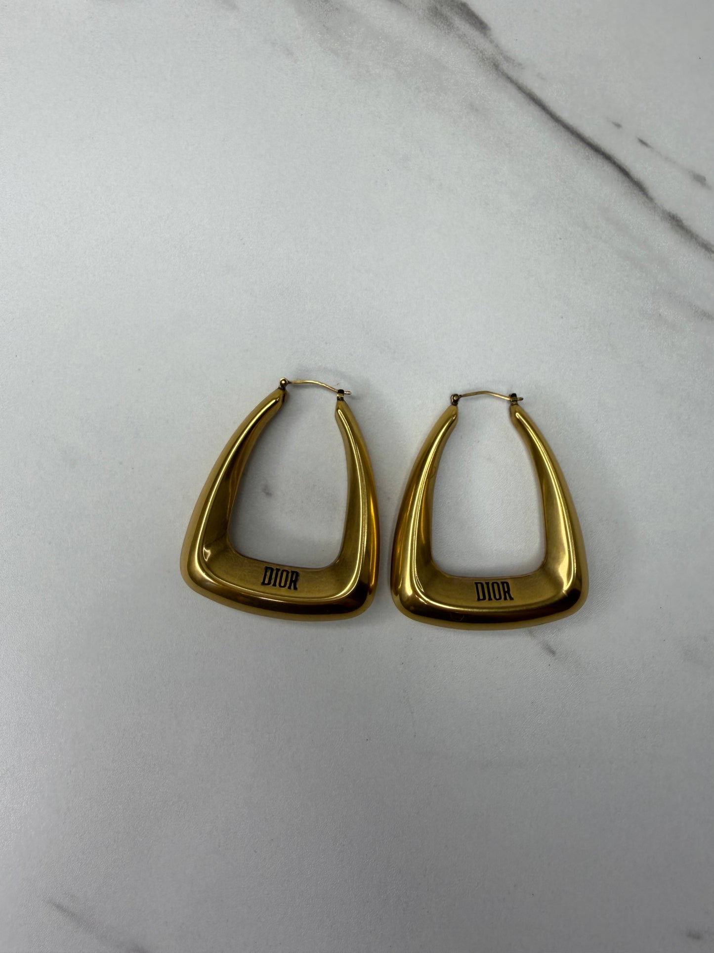 Dior Earrings