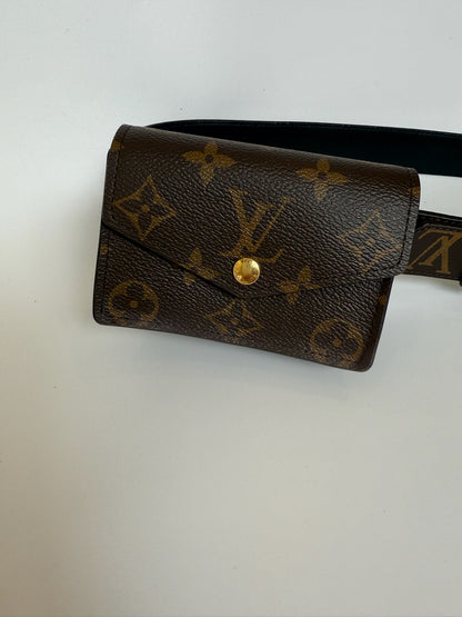 Louis Vuitton multi pocket belt bag