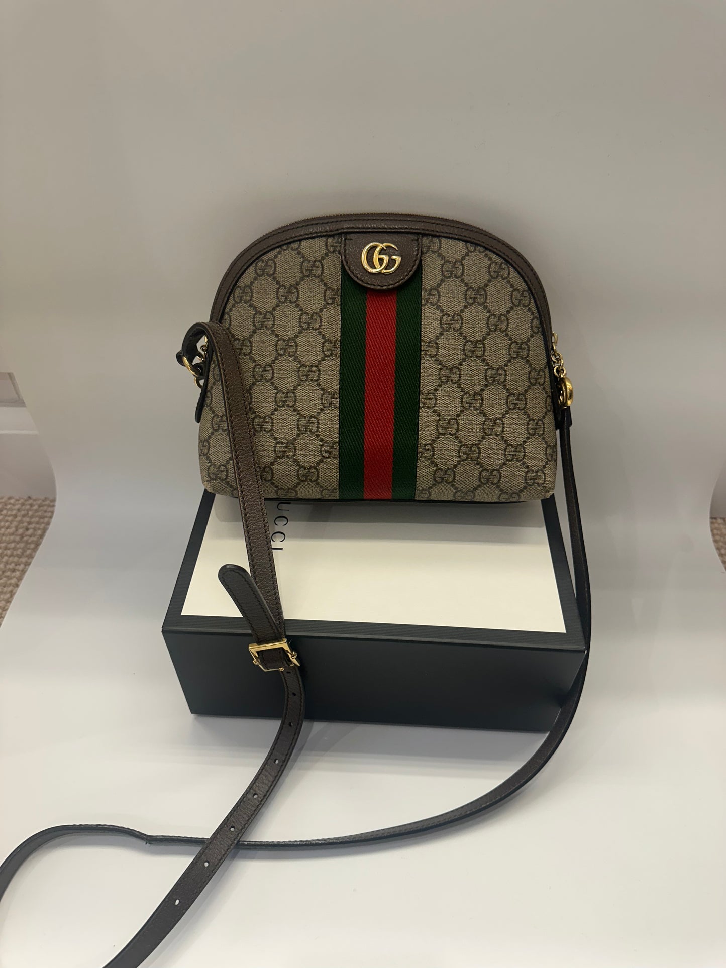 Gucci Ophidia Bag