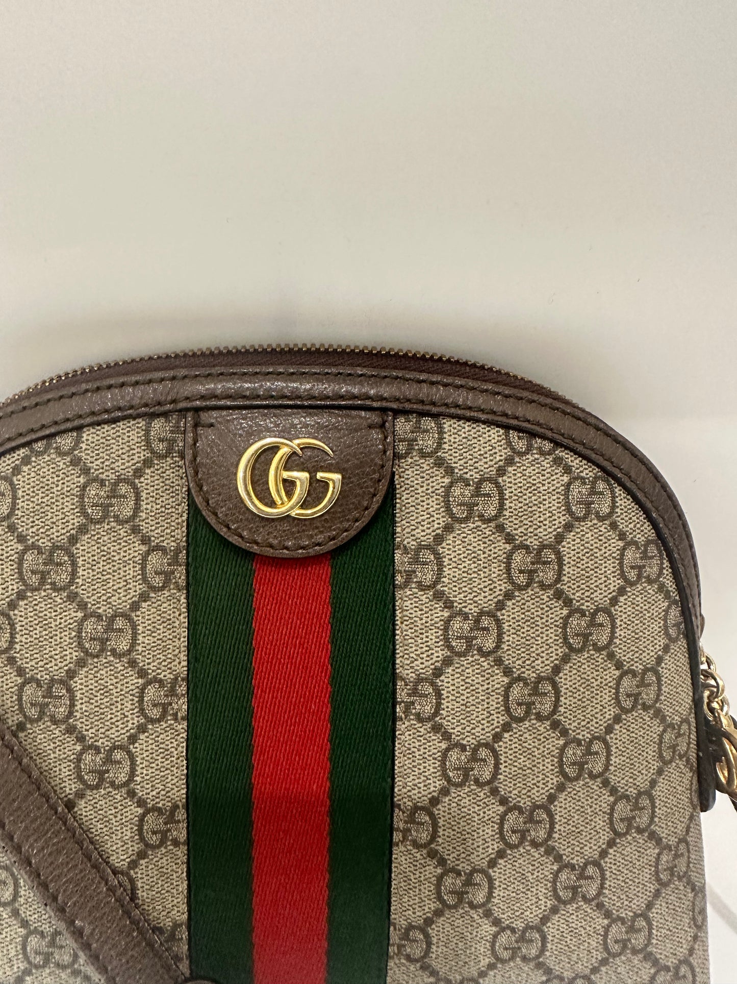 Gucci Ophidia Bag