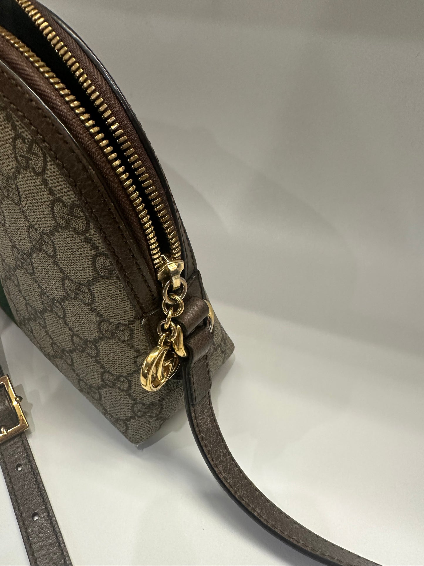 Gucci Ophidia Bag