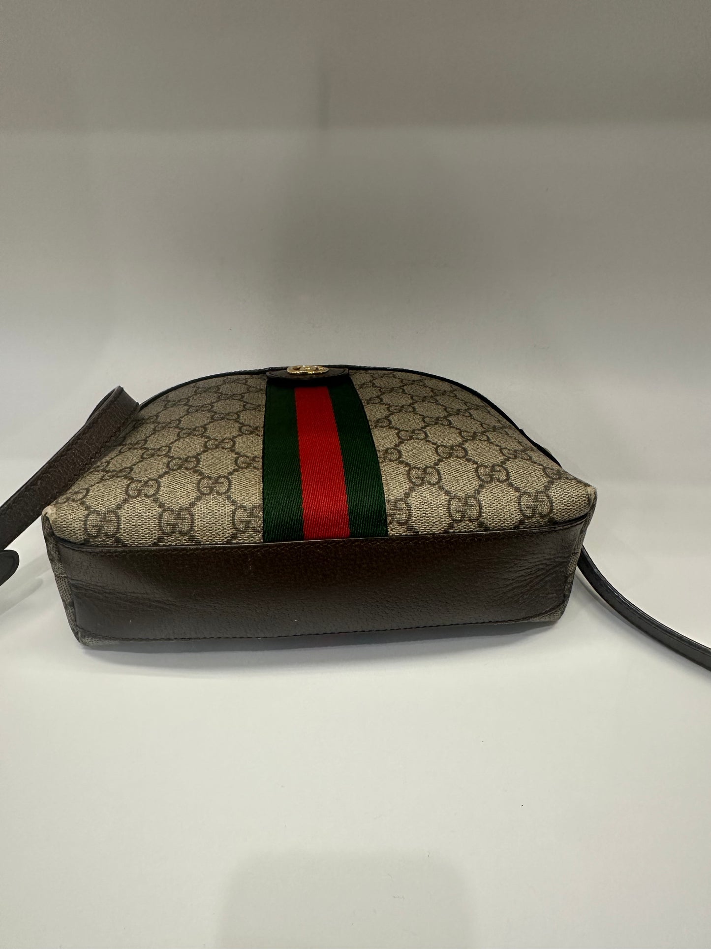 Gucci Ophidia Bag