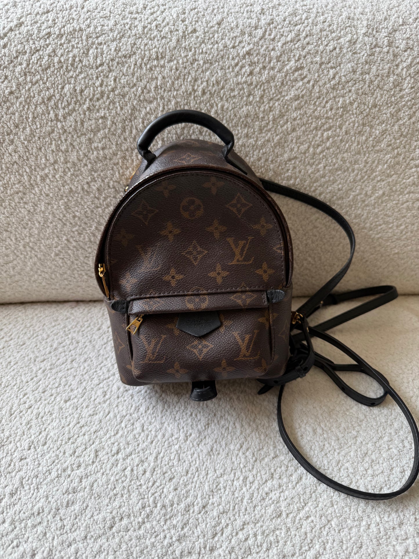 Louis Vuitton mini palm spring