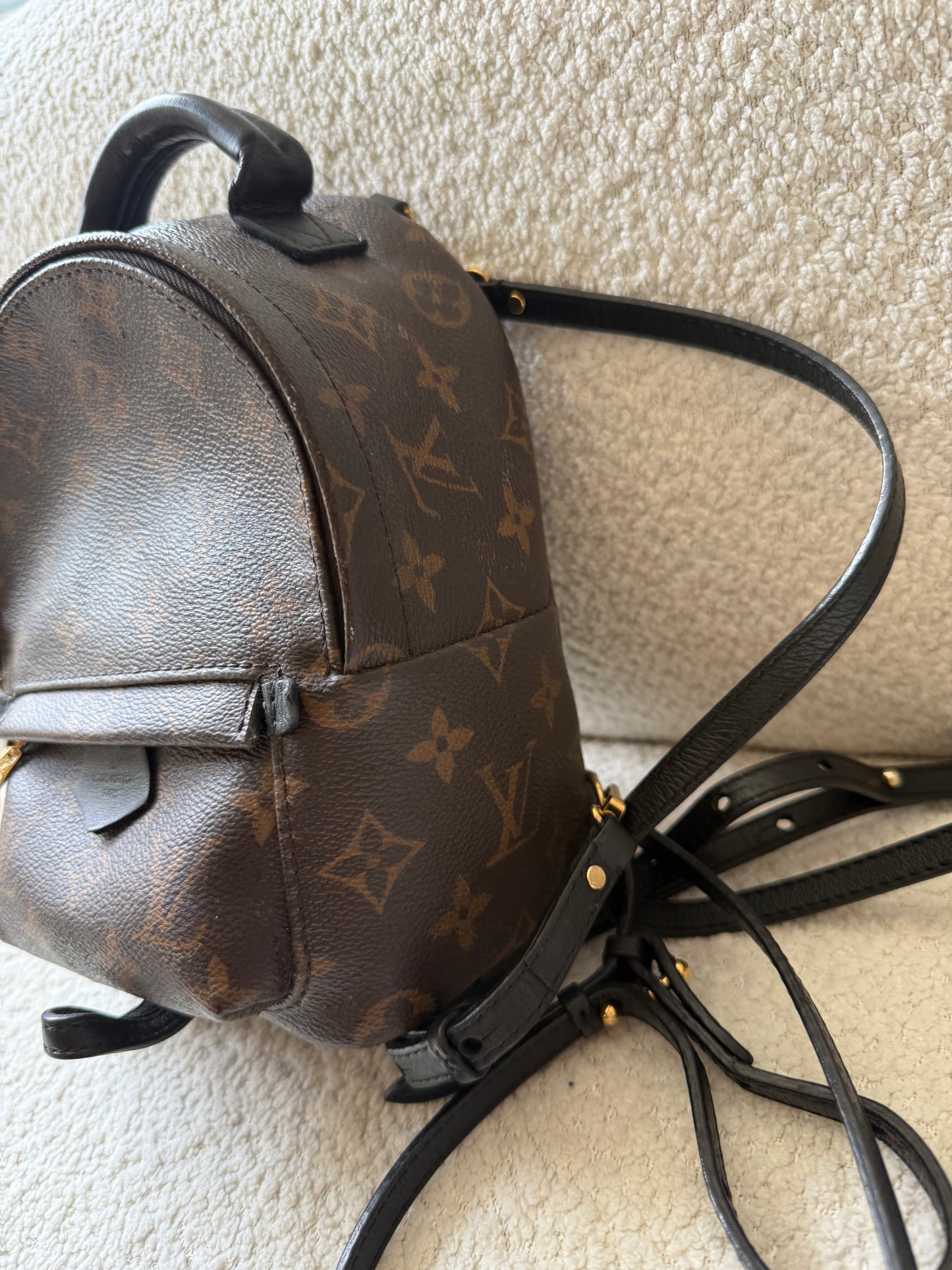 Louis Vuitton mini palm spring