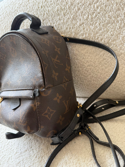 Louis Vuitton mini palm spring