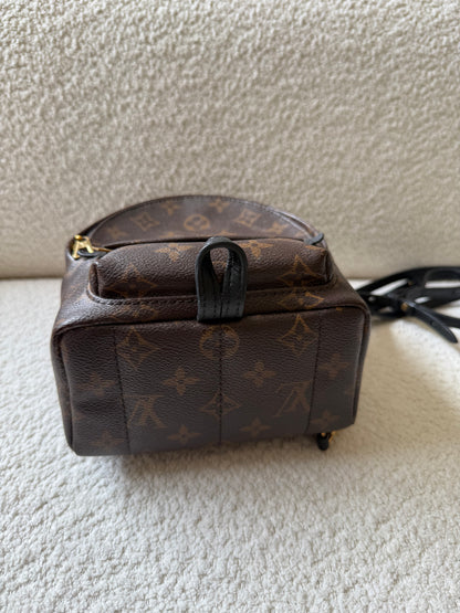 Louis Vuitton mini palm spring
