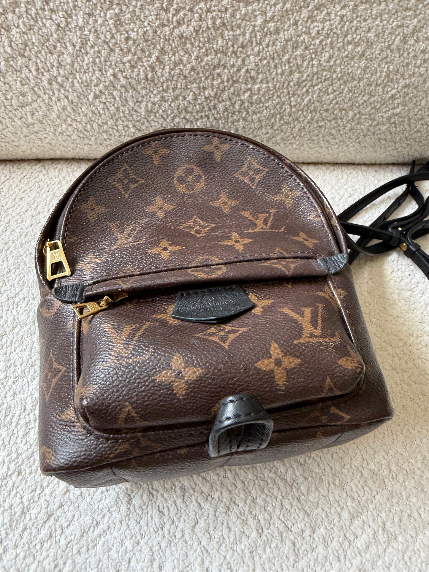 Louis Vuitton mini palm spring