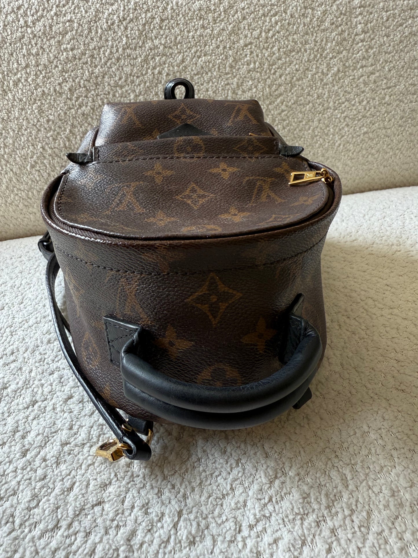 Louis Vuitton mini palm spring