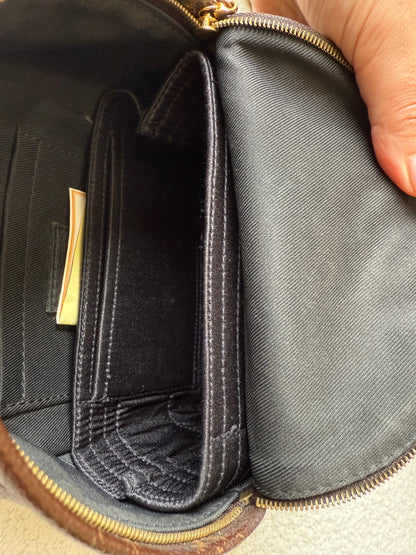 Louis Vuitton mini palm spring